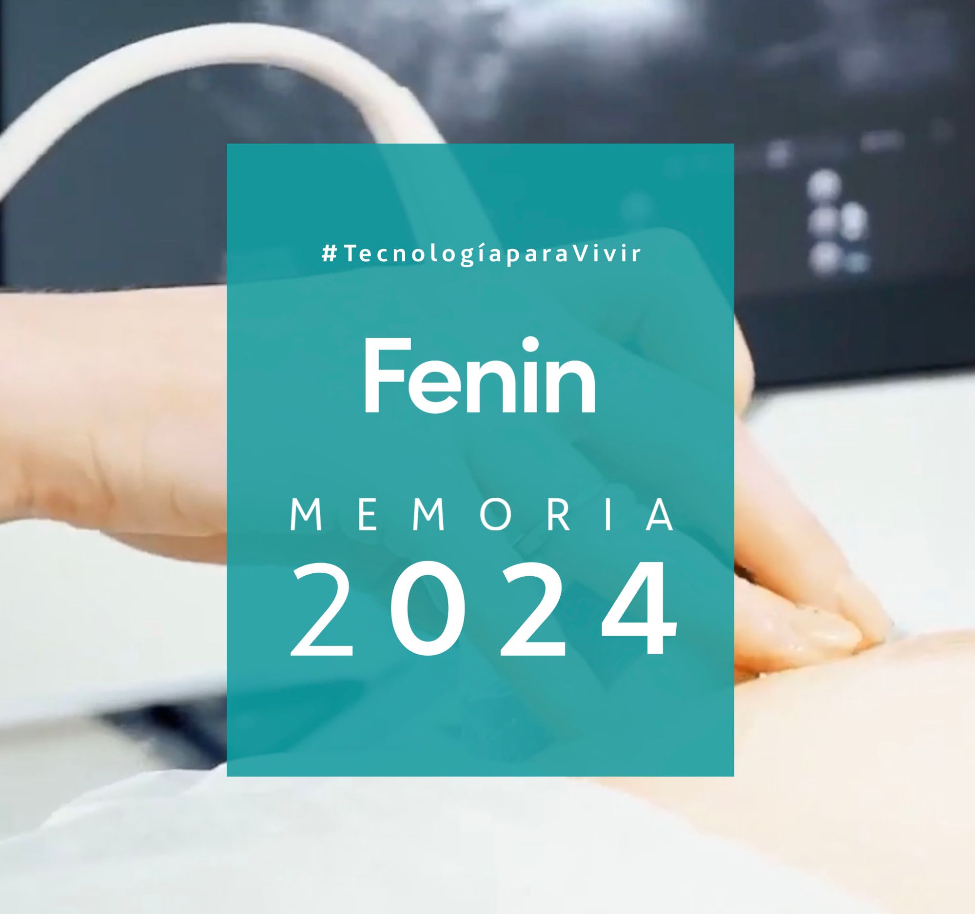 Memoria Anual FENIN 2024